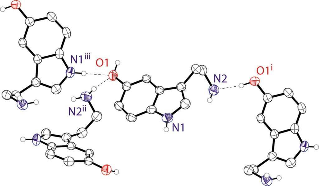 A diagram showing the molecular structure of serotonin